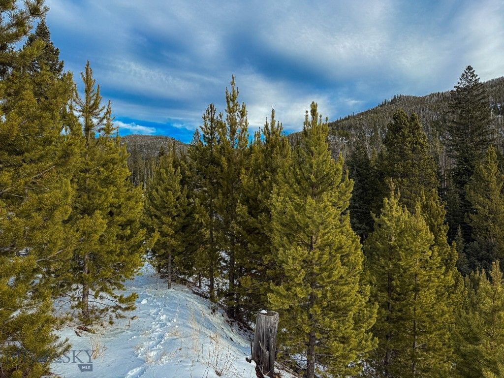 NHN (Clipper Lode) Cataract Creek Road, Boulder, MT 59632 photo 47