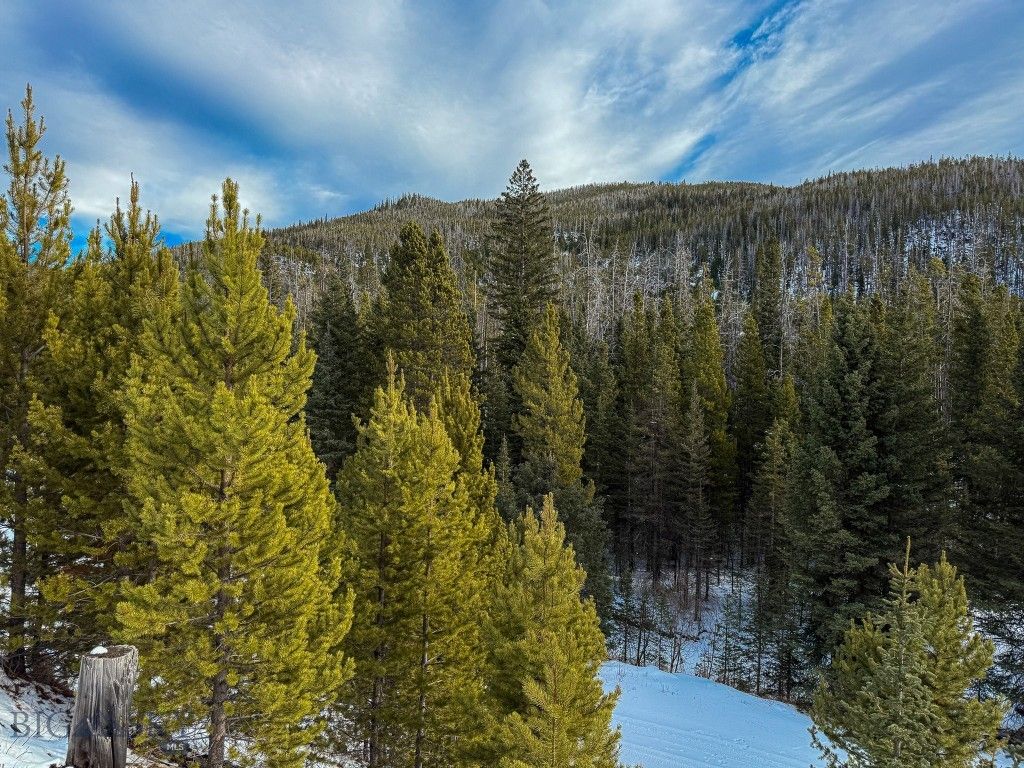 NHN (Clipper Lode) Cataract Creek Road, Boulder, MT 59632 photo 48