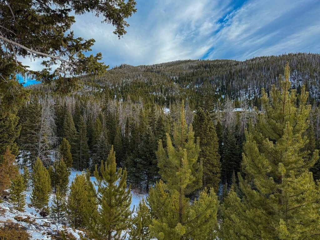 NHN (Clipper Lode) Cataract Creek Road, Boulder, MT 59632 photo 49