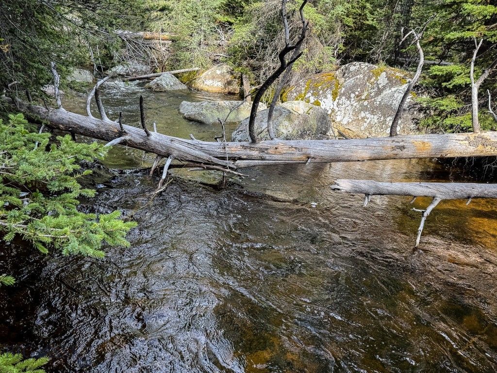 NHN (Clipper Lode) Cataract Creek Road, Boulder, MT 59632 photo 5