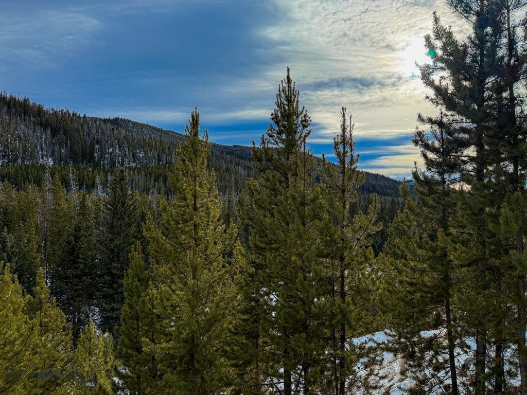 NHN (Clipper Lode) Cataract Creek Road, Boulder, MT 59632 photo 50