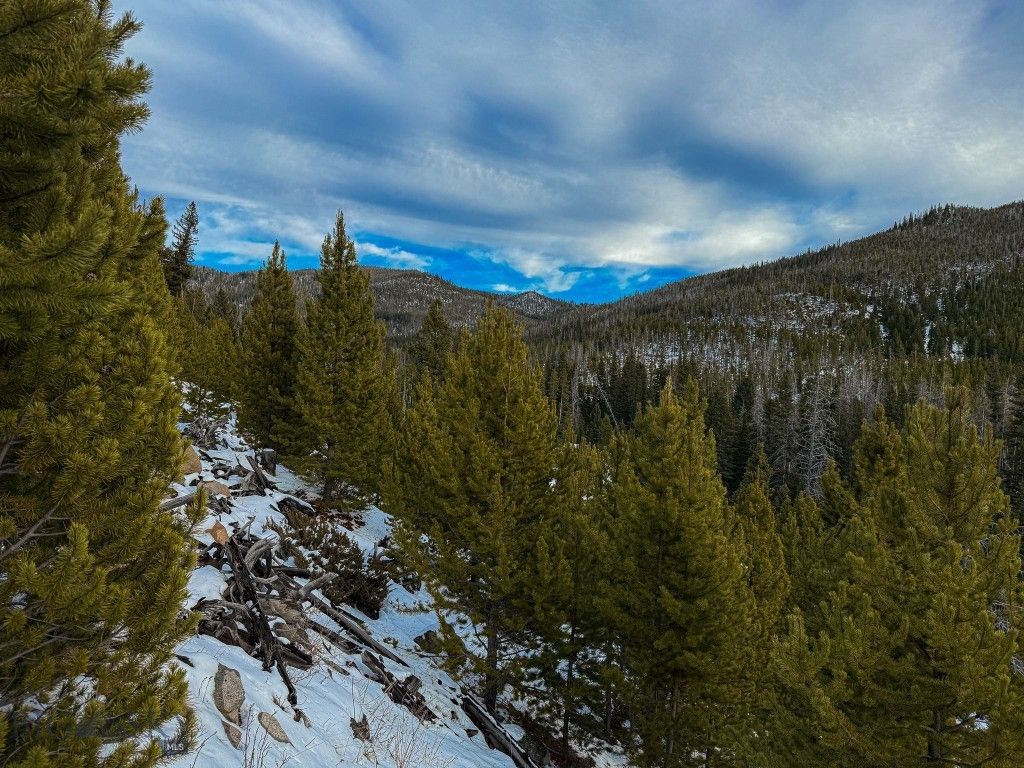 NHN (Clipper Lode) Cataract Creek Road, Boulder, MT 59632 photo 51