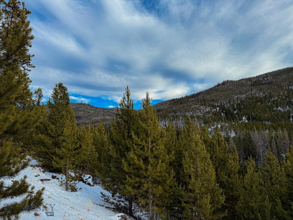 NHN (Clipper Lode) Cataract Creek Road, Boulder, MT 59632 photo 52