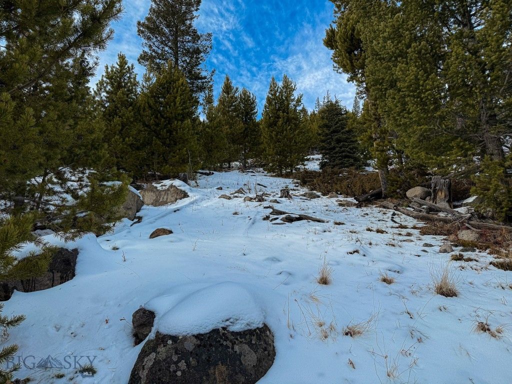 NHN (Clipper Lode) Cataract Creek Road, Boulder, MT 59632 photo 53