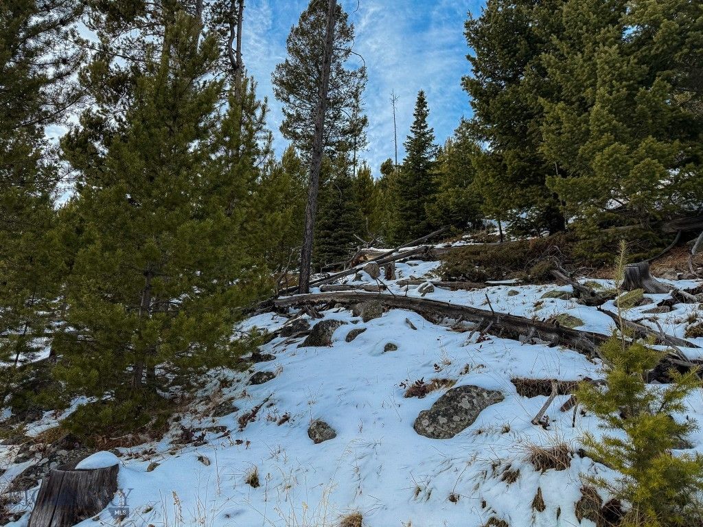 NHN (Clipper Lode) Cataract Creek Road, Boulder, MT 59632 photo 54