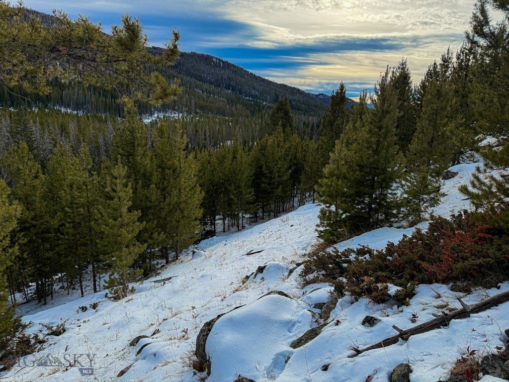 NHN (Clipper Lode) Cataract Creek Road, Boulder, MT 59632 photo 55