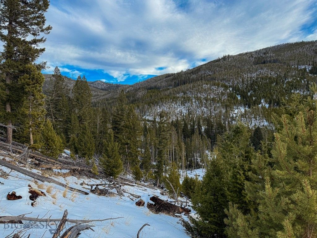 NHN (Clipper Lode) Cataract Creek Road, Boulder, MT 59632 photo 57