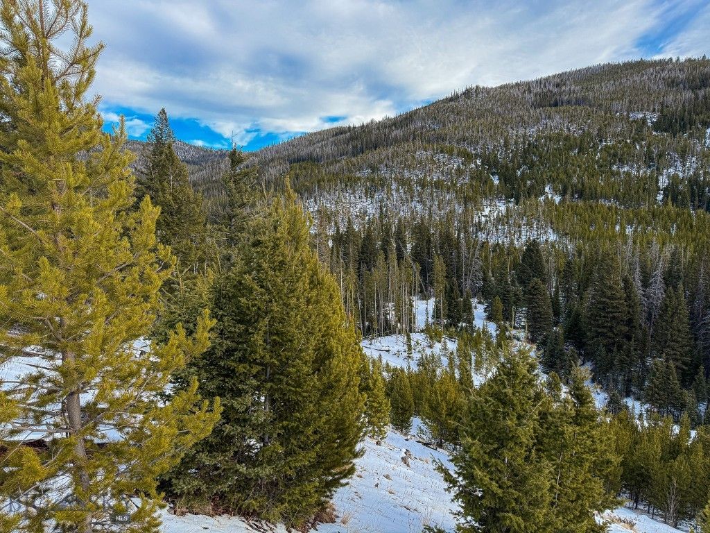 NHN (Clipper Lode) Cataract Creek Road, Boulder, MT 59632 photo 58