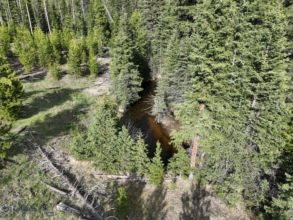 NHN (Clipper Lode) Cataract Creek Road, Boulder, MT 59632 photo 7