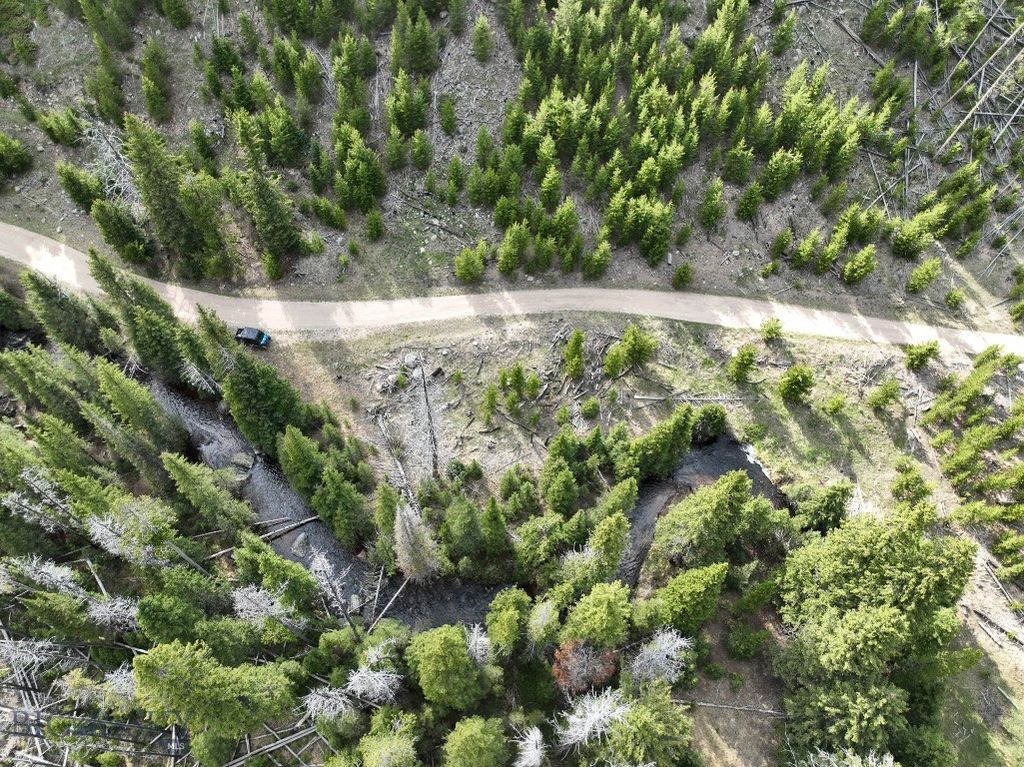 NHN (Clipper Lode) Cataract Creek Road, Boulder, MT 59632 photo 8