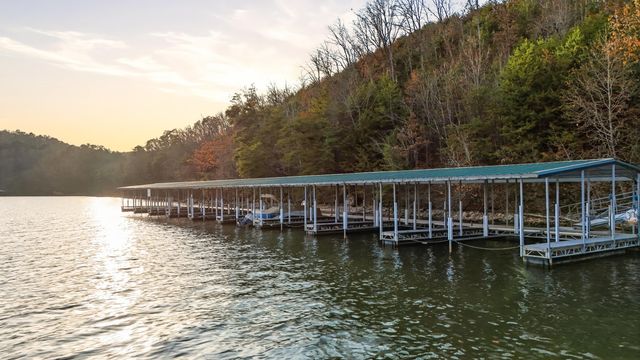 116 River Run Trail, Spring City, TN 37381