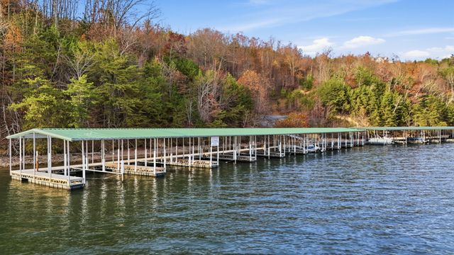 116 River Run Trail, Spring City, TN 37381