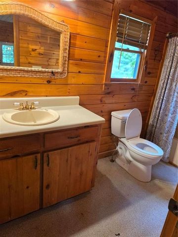 49 Deer Trail, Mineral Bluff, GA 30559