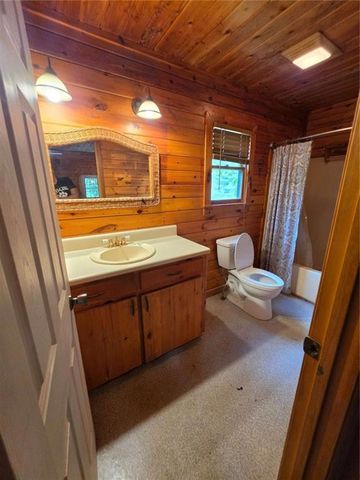 49 Deer Trail, Mineral Bluff, GA 30559