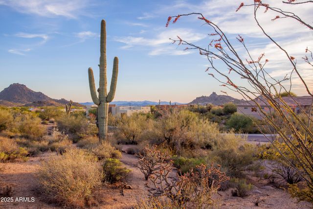 28787 N 114th Street N & P, Scottsdale, AZ 85262