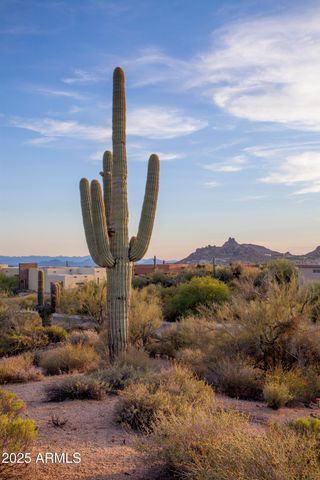 28787 N 114th Street N & P, Scottsdale, AZ 85262