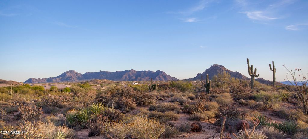 28787 N 114th Street N & P, Scottsdale, AZ 85262