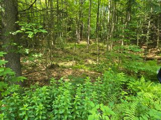217 Winsor Drive, Hartford, VT 05001