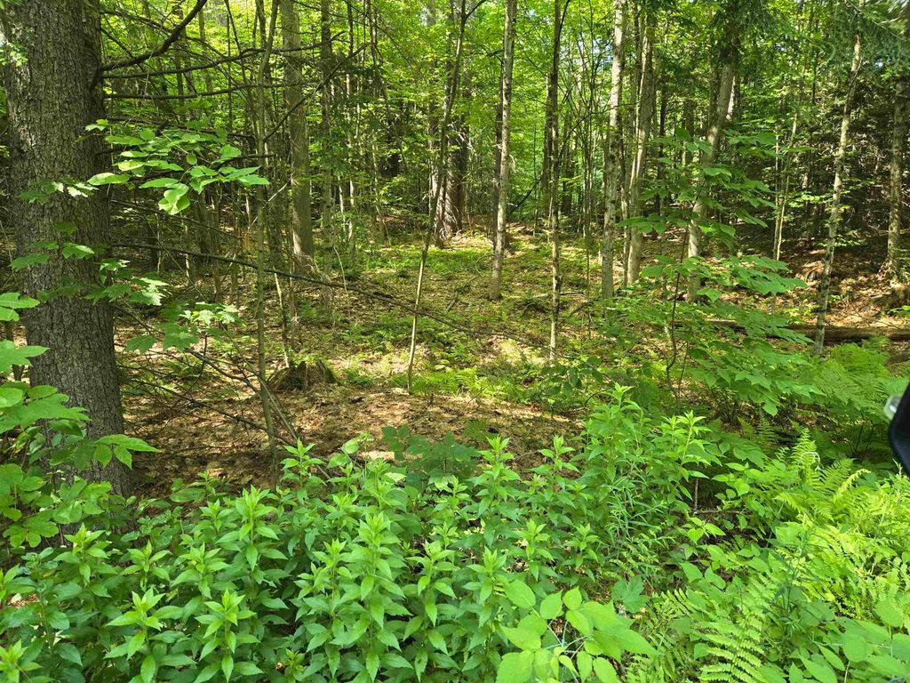217 Winsor Drive, Hartford, VT 05001