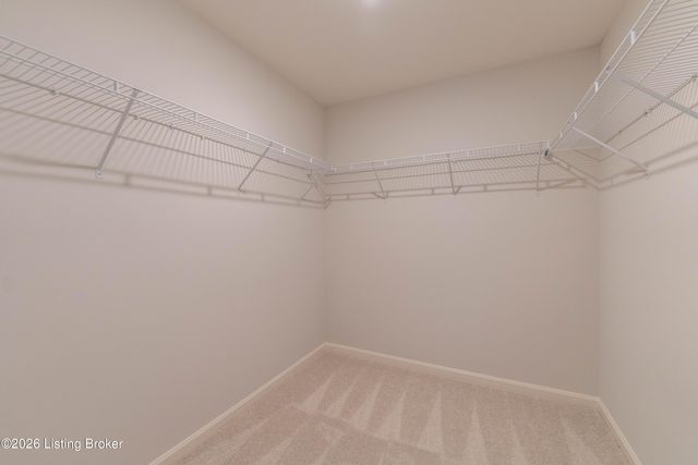 7817 Firescale Ct, Louisville, KY 40291