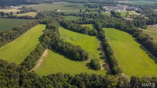43 +/- Acres Cuivre Point Rd., Moscow Mills, MO 63362