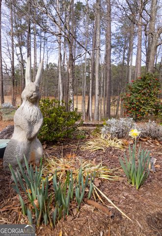 345 Tillinghast Trace, Newnan, GA 30265
