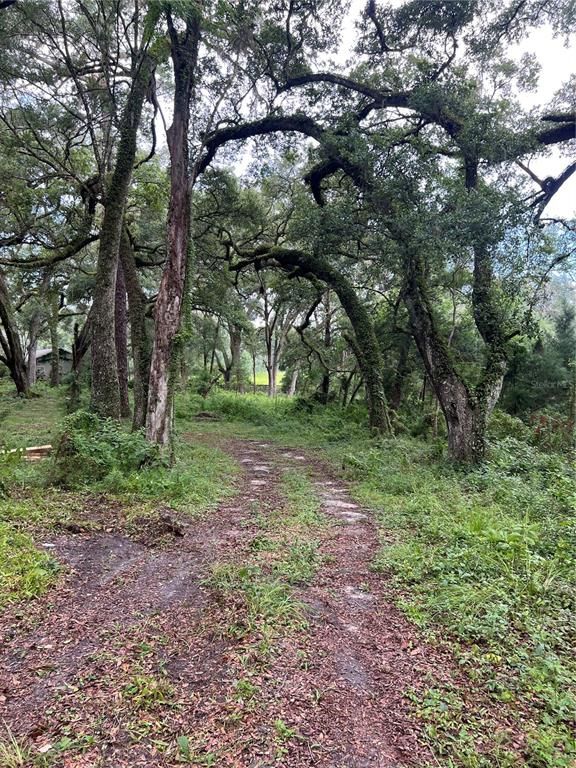 7606 SW 122ND STREET, Gainesville, FL 32608