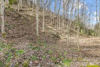 00 Lady Bug Lane W 26, Maggie Valley, NC 28751