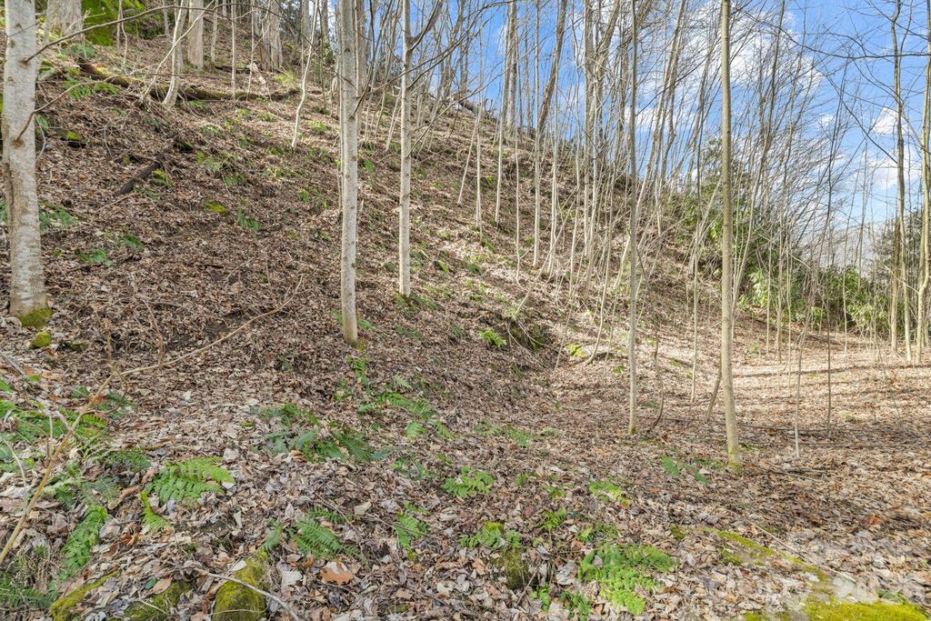 00 Lady Bug Lane W 26, Maggie Valley, NC 28751