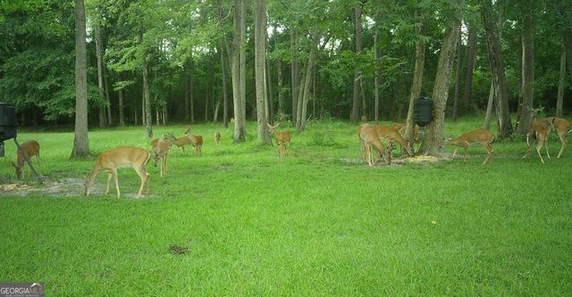 5002 Addison Trail, Statesboro, GA 30458