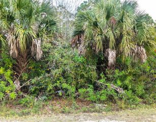 12885 86th Street, Fellsmere, FL 32948