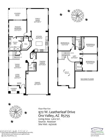 972 W Leatherleaf Drive, Tucson, AZ 85755