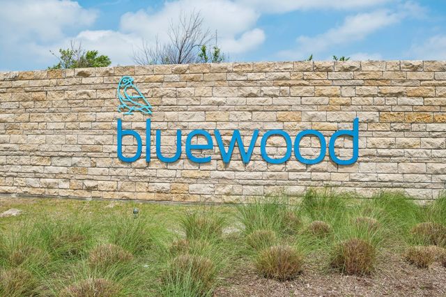 816 Cobalt Drive, Celina, TX 75009