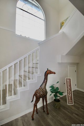 23239 Skila, Elmendorf, TX 78112