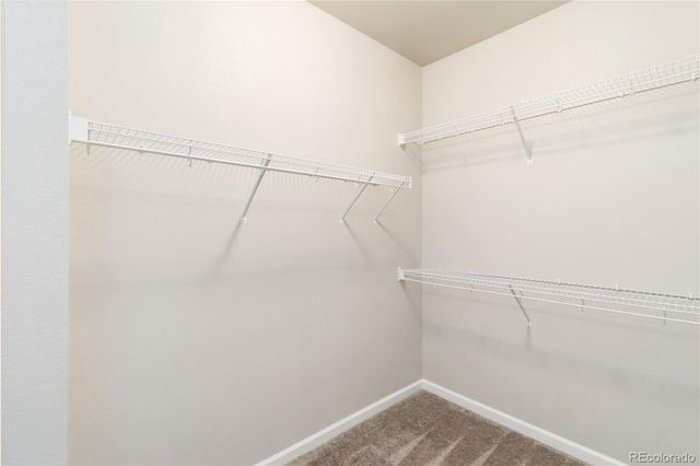 11574 Dewey Street, Parker, CO 80138