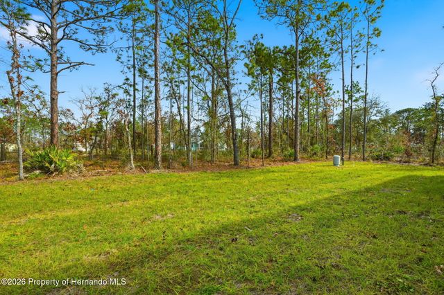 17460 Macassar Road, Brooksville, FL 34614