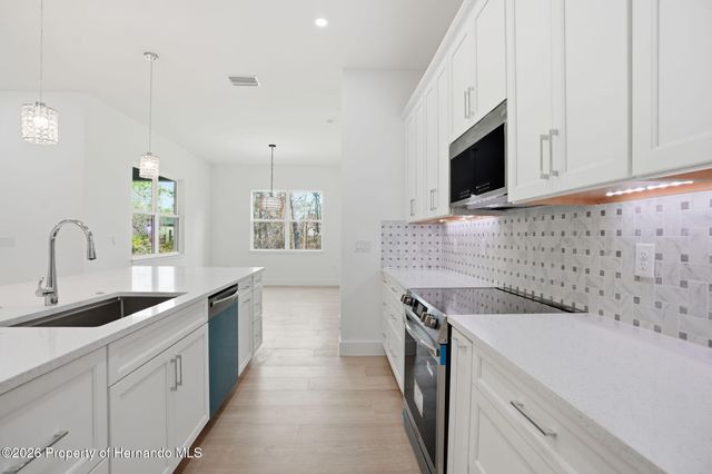 17460 Macassar Road, Brooksville, FL 34614