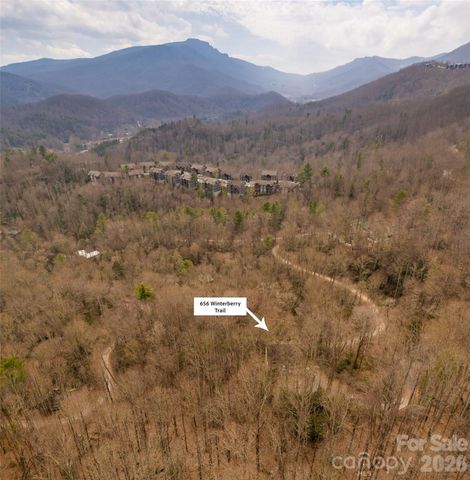 656 Winterberry Trail, Boone, NC 28607
