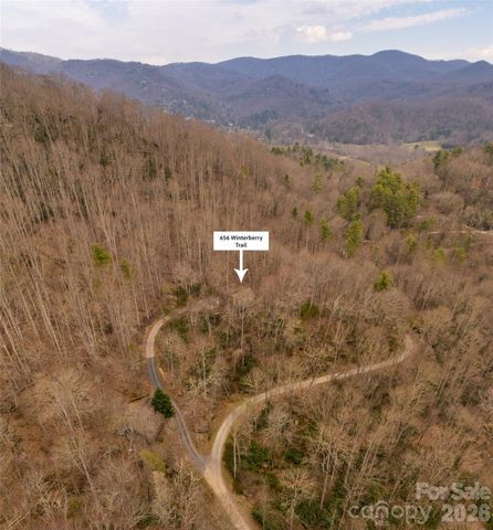 656 Winterberry Trail, Boone, NC 28607