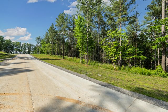 1023 Buck Crossing Dr Drive, Guild, TN 37340