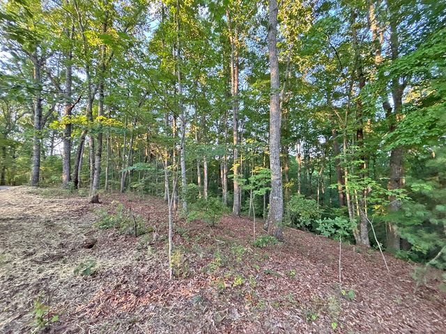 Lot 20 Mt. Springer Road, Ellijay, GA 30540
