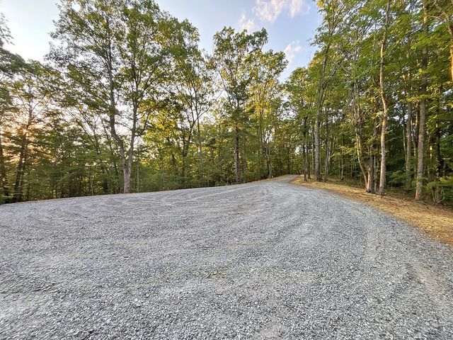 Lot 20 Mt. Springer Road, Ellijay, GA 30540