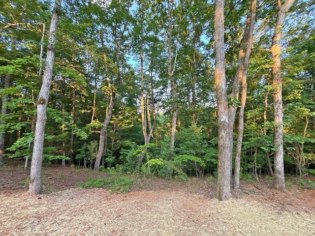 Lot 20 Mt. Springer Road, Ellijay, GA 30540