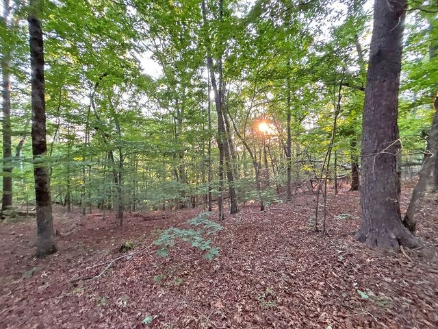 Lot 20 Mt. Springer Road, Ellijay, GA 30540