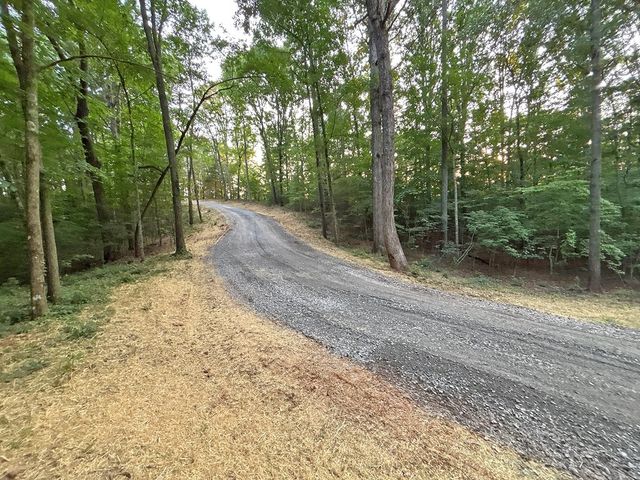 Lot 20 Mt. Springer Road, Ellijay, GA 30540
