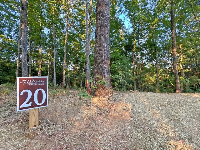 Lot 20 Mt. Springer Road, Ellijay, GA 30540