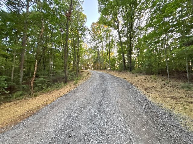 Lot 20 Mt. Springer Road, Ellijay, GA 30540