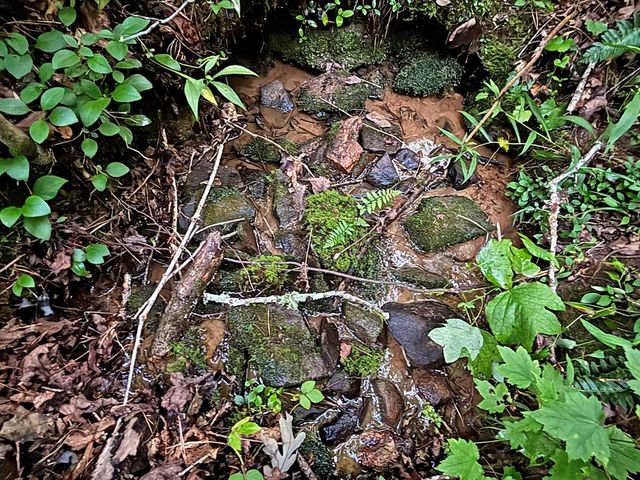 Lot 20 Mt. Springer Road, Ellijay, GA 30540