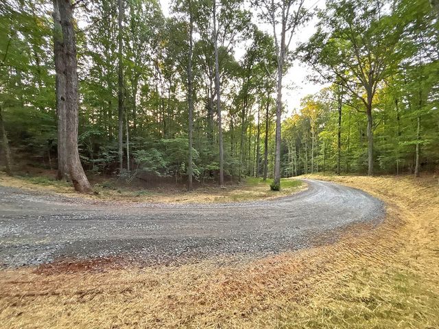 Lot 20 Mt. Springer Road, Ellijay, GA 30540