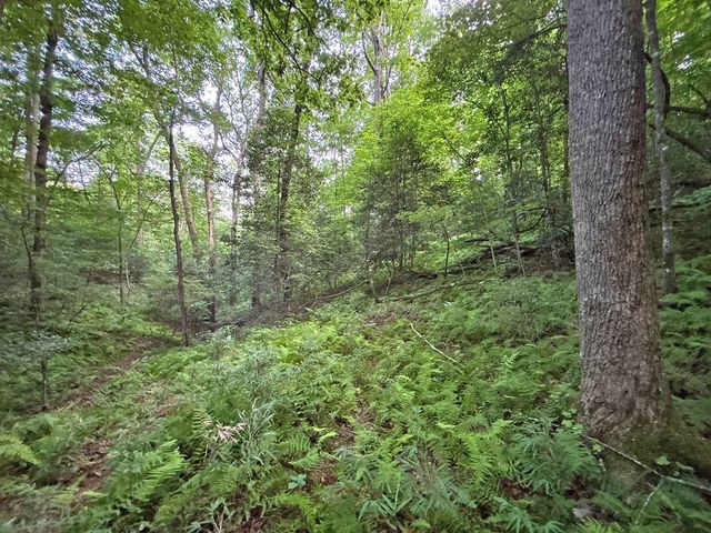 Lot 20 Mt. Springer Road, Ellijay, GA 30540